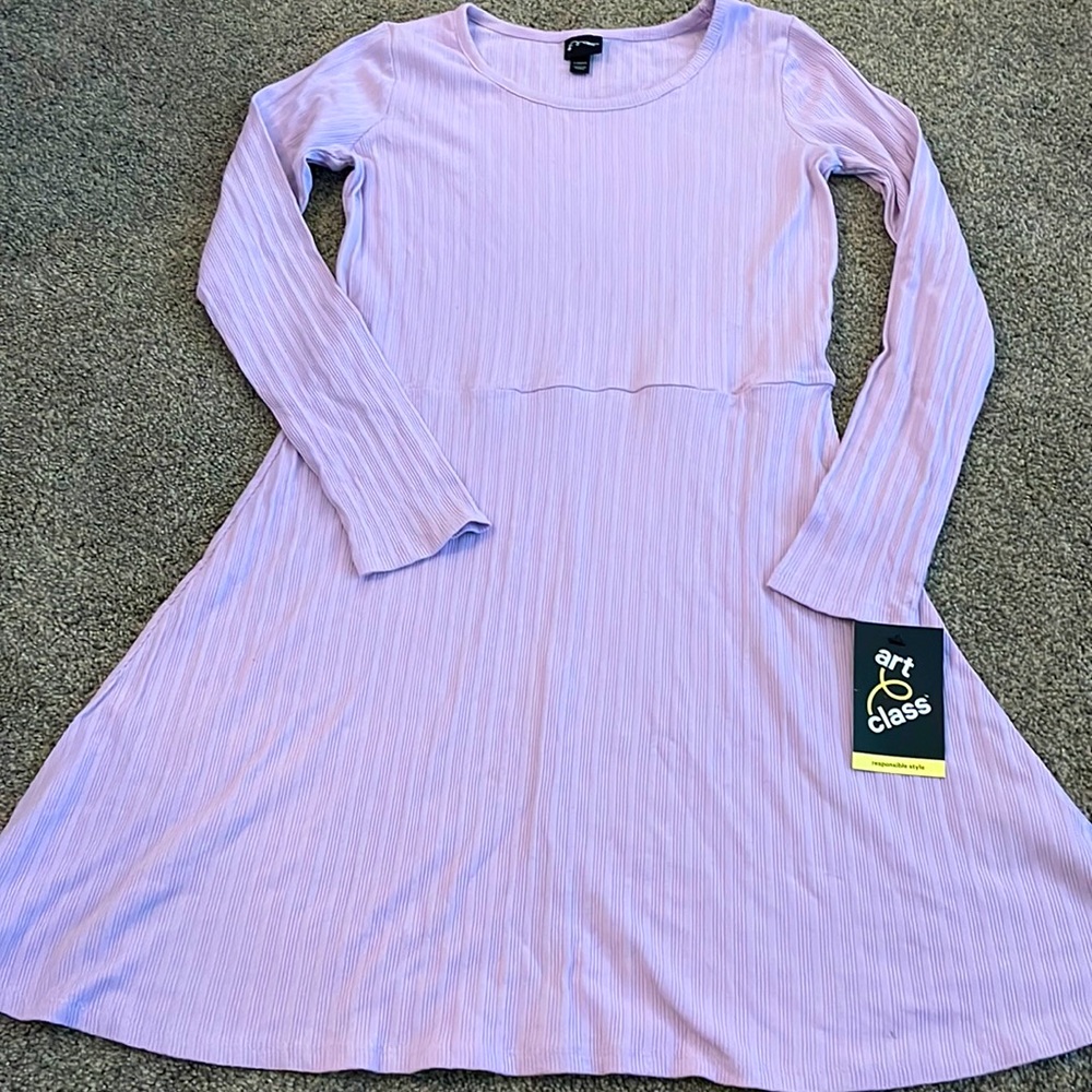 NWT Girls Purple Dress Art Class